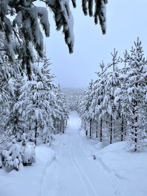 Cozy Mountain View Apartment Orrviken المظهر الخارجي الصورة