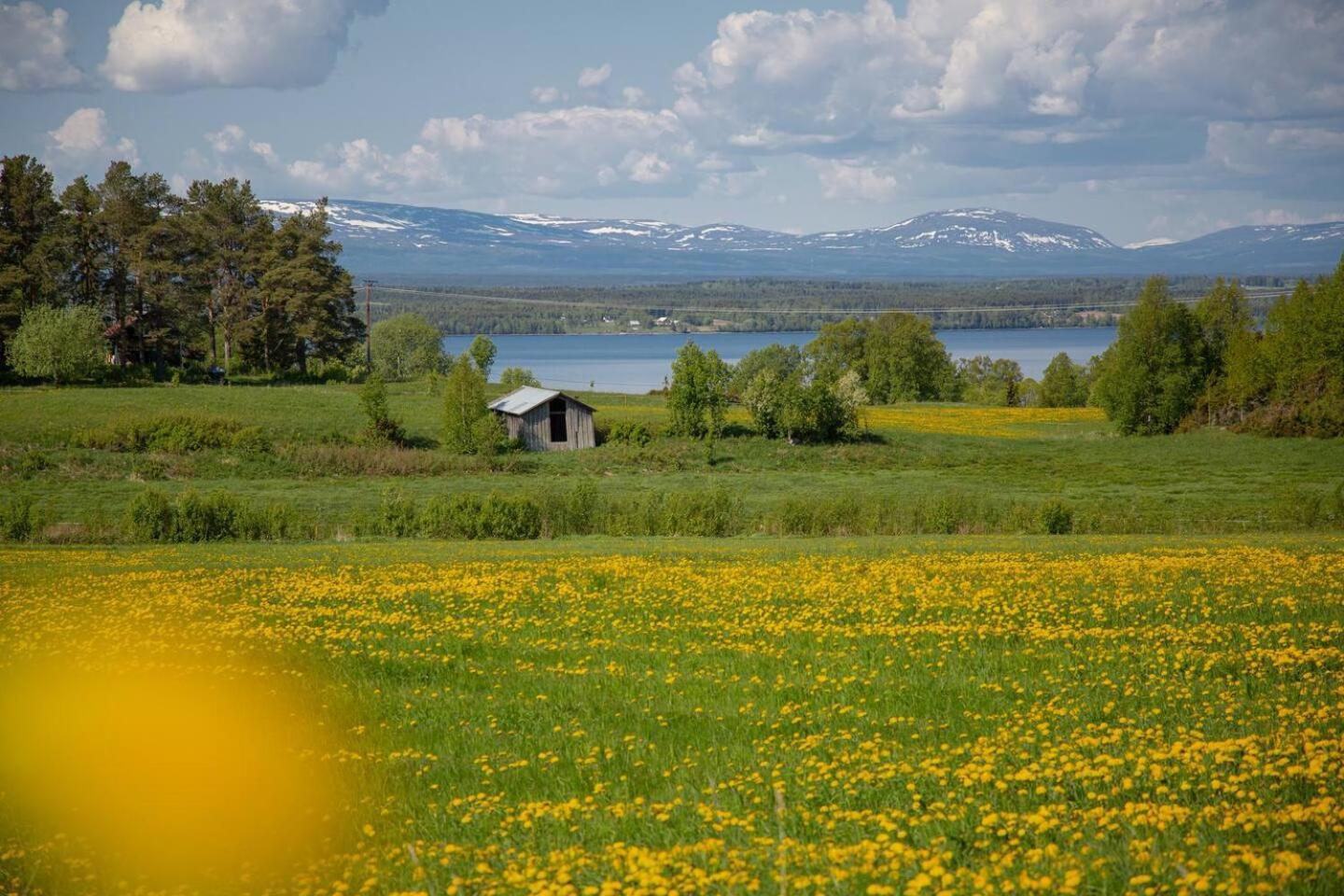 Cozy Mountain View Apartment Orrviken المظهر الخارجي الصورة